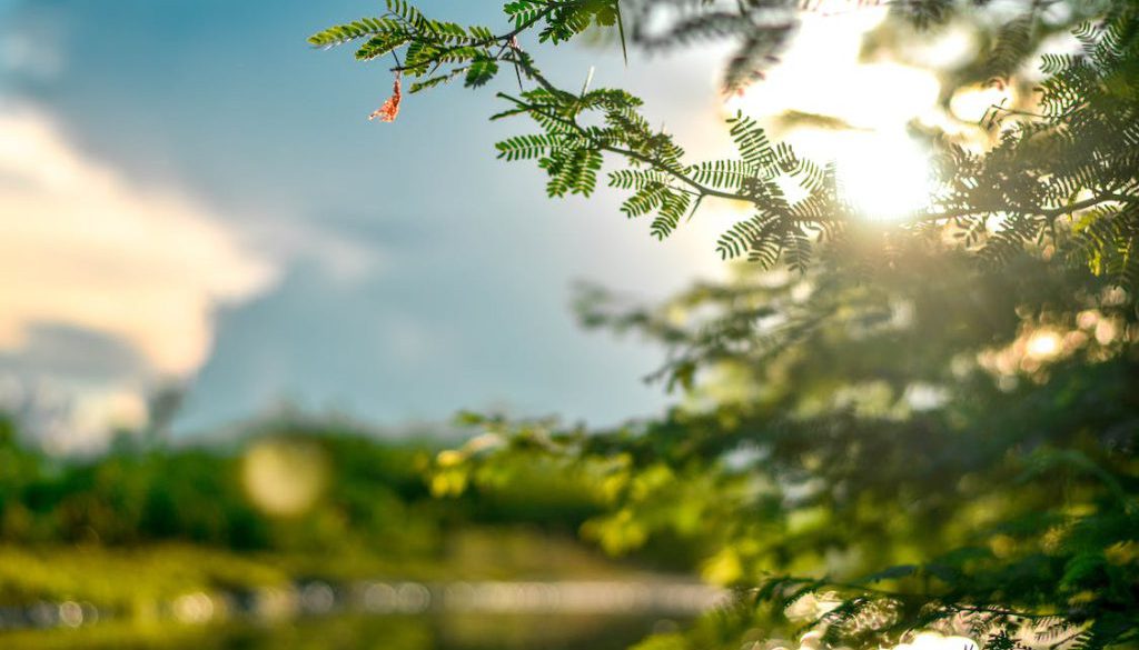 pexels-photo-1673973