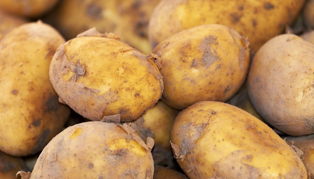 potato-3440360_960_720